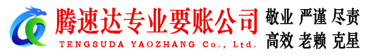 沙洋腾速达清债公司